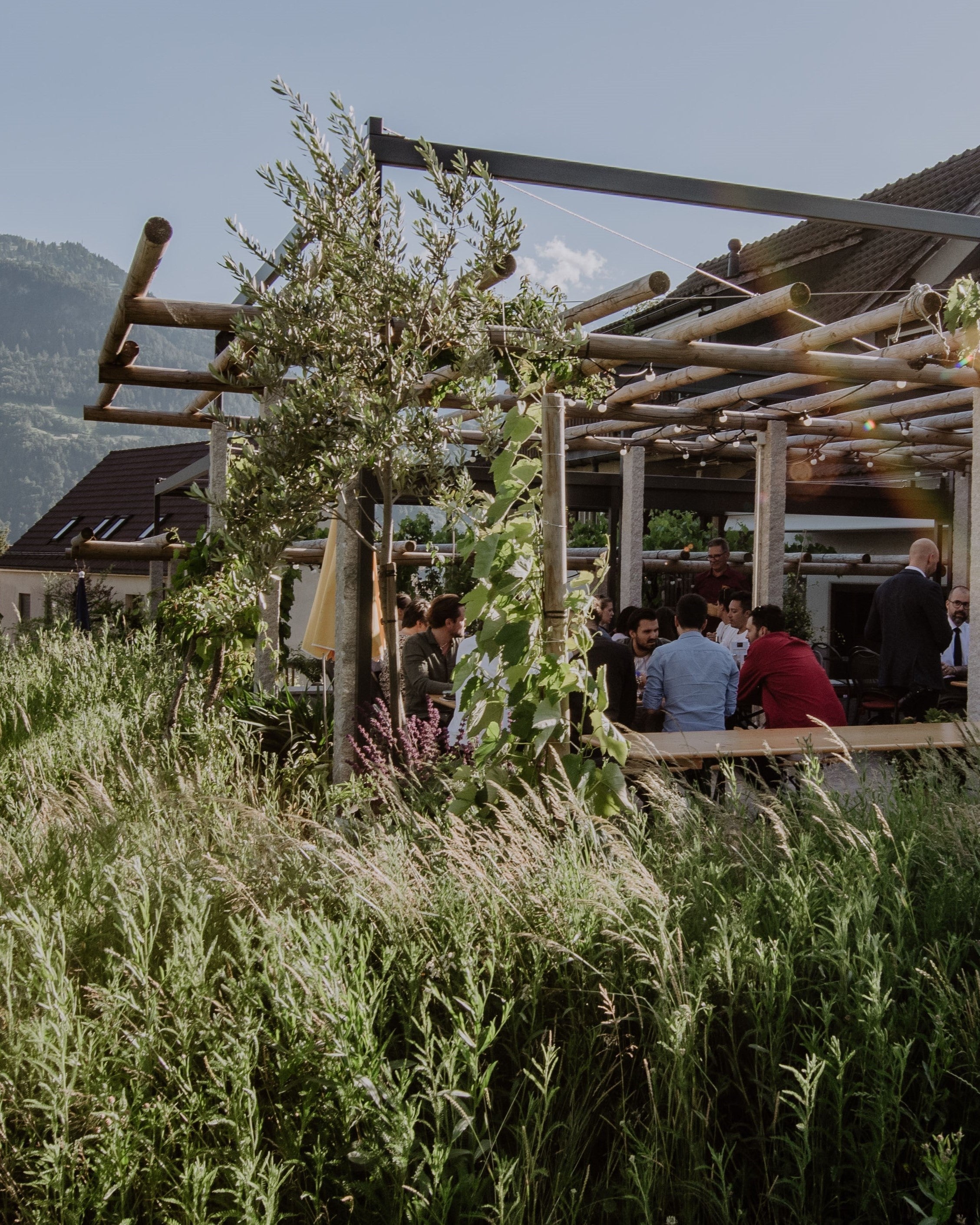 Offene Weinkeller - 1.-3. Mai 2026