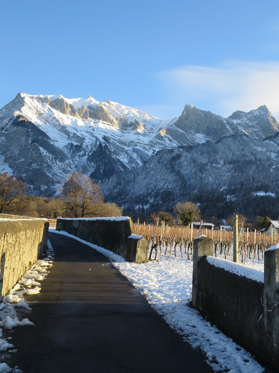 Winzerweihnacht - 13. / 14. Dezember 2025